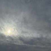 ヒメ日記 2025/12/16 13:06 投稿 みずほ 大宮おかあさん