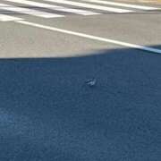 ヒメ日記 2025/12/24 08:06 投稿 みずほ 大宮おかあさん