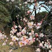 ヒメ日記 2025/12/24 13:16 投稿 みずほ 大宮おかあさん