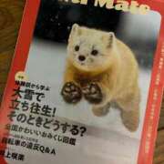 ヒメ日記 2026/01/27 07:57 投稿 みずほ 大宮おかあさん