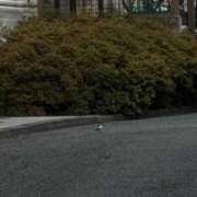 ヒメ日記 2026/02/25 06:36 投稿 みずほ 大宮おかあさん