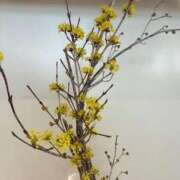 ヒメ日記 2026/03/06 06:06 投稿 みずほ 大宮おかあさん