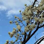 ヒメ日記 2026/03/17 08:06 投稿 みずほ 大宮おかあさん