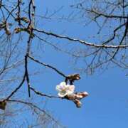 ヒメ日記 2026/03/23 08:36 投稿 みずほ 大宮おかあさん