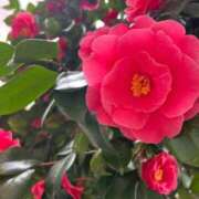 ヒメ日記 2026/03/27 06:56 投稿 みずほ 大宮おかあさん