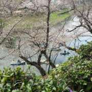 ヒメ日記 2026/03/31 07:46 投稿 みずほ 大宮おかあさん