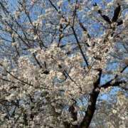 ヒメ日記 2026/04/01 06:46 投稿 みずほ 大宮おかあさん