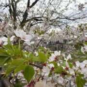 ヒメ日記 2026/04/09 12:36 投稿 みずほ 大宮おかあさん