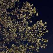 ヒメ日記 2026/04/10 03:46 投稿 みずほ 大宮おかあさん