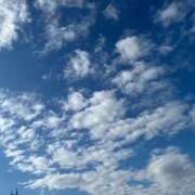 ヒメ日記 2026/04/22 12:26 投稿 みずほ 大宮おかあさん