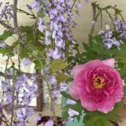 ヒメ日記 2026/04/23 10:26 投稿 みずほ 大宮おかあさん