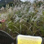 ヒメ日記 2025/10/31 06:42 投稿 すず AZURE（アジュール）