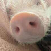 ヒメ日記 2026/01/23 11:12 投稿 めい AZURE（アジュール）