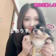 ヒメ日記 2025/08/11 10:03 投稿 ありす AZURE（アジュール）