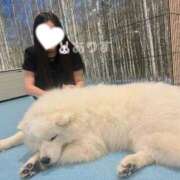 ヒメ日記 2025/08/18 09:22 投稿 ありす AZURE（アジュール）