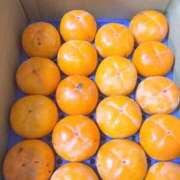 ゆい どどーんと AZURE（アジュール）