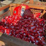 ヒメ日記 2025/12/26 09:42 投稿 ゆい AZURE（アジュール）