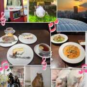 ヒメ日記 2026/03/19 10:42 投稿 ゆい AZURE（アジュール）