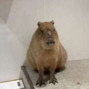 ゆい ぽかぽか AZURE（アジュール）