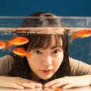 ヒメ日記 2025/11/23 12:03 投稿 なな AZURE（アジュール）