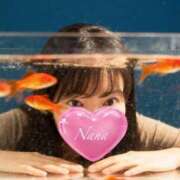 ヒメ日記 2025/12/11 22:52 投稿 なな AZURE（アジュール）