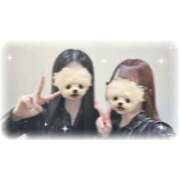 ヒメ日記 2026/03/29 18:48 投稿 いのり 性の極み 技の伝道師 Ver.新横浜店