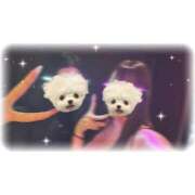 ヒメ日記 2026/03/30 06:18 投稿 いのり 性の極み 技の伝道師 Ver.新横浜店