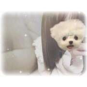 ヒメ日記 2026/04/19 03:08 投稿 いのり 性の極み 技の伝道師 Ver.新横浜店