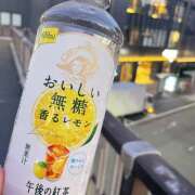 ヒメ日記 2025/07/12 13:33 投稿 南條 ナズナ イマジン東京