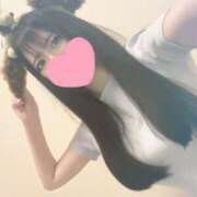 ヒメ日記 2025/07/15 19:41 投稿 わかば 妖精（ようせい）