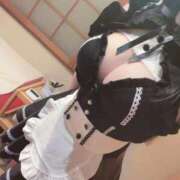 ヒメ日記 2025/10/25 09:01 投稿 わかば 妖精（ようせい）