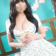 ヒメ日記 2026/03/29 13:15 投稿 わかば 妖精（ようせい）