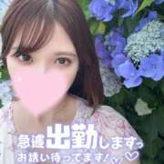 ヒメ日記 2025/09/23 13:54 投稿 もも★S級最高峰！女子アナ系★ Chloe五反田本店　S級素人清楚系デリヘル