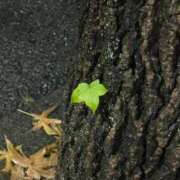 ヒメ日記 2025/11/03 23:40 投稿 もも★S級最高峰！女子アナ系★ Chloe五反田本店　S級素人清楚系デリヘル