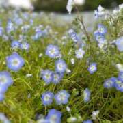 ヒメ日記 2025/07/09 22:39 投稿 ゆあ 出会い系人妻ネットワーク 上野〜大塚編