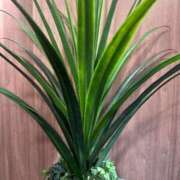 ゆり こんには😊 北九州人妻倶楽部（三十路、四十路、五十路）