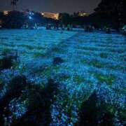 ヒメ日記 2025/07/05 08:02 投稿 エミ Club Hearts