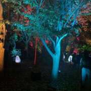 ヒメ日記 2025/07/06 14:04 投稿 エミ Club Hearts