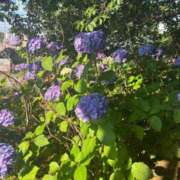 ヒメ日記 2025/07/07 12:03 投稿 エミ Club Hearts