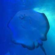 エミ た！！ Club Hearts