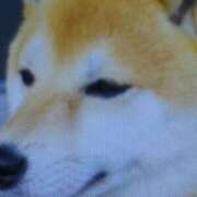 ヒメ日記 2025/09/14 12:18 投稿 Hisui LovingTouch（ラビングタッチ）