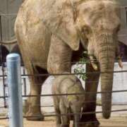 ヒメ日記 2025/10/24 12:08 投稿 Hisui LovingTouch（ラビングタッチ）