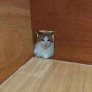 ヒメ日記 2025/10/27 12:09 投稿 Hisui LovingTouch（ラビングタッチ）