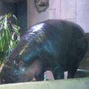 ヒメ日記 2025/11/03 11:15 投稿 Hisui LovingTouch（ラビングタッチ）