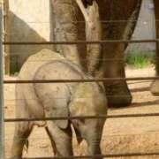 ヒメ日記 2025/11/07 12:08 投稿 Hisui LovingTouch（ラビングタッチ）