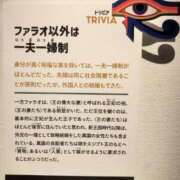 ヒメ日記 2025/11/24 12:18 投稿 Hisui LovingTouch（ラビングタッチ）