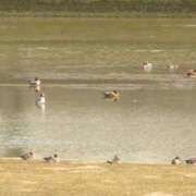 ヒメ日記 2025/11/27 12:18 投稿 Hisui LovingTouch（ラビングタッチ）