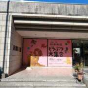 ヒメ日記 2025/12/09 12:18 投稿 Hisui LovingTouch（ラビングタッチ）