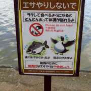 ヒメ日記 2025/12/27 12:08 投稿 Hisui LovingTouch（ラビングタッチ）