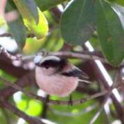 ヒメ日記 2026/01/09 12:18 投稿 Hisui LovingTouch（ラビングタッチ）